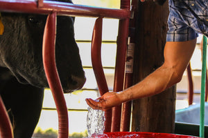 Clean Water.jpg__PID:ac3433d1-d546-44c9-adea-e6c9aefaeb53