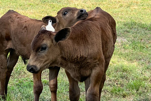 Eliminate Stress.jpg__PID:679bac34-33d1-4546-94c9-2deae6c9aefa