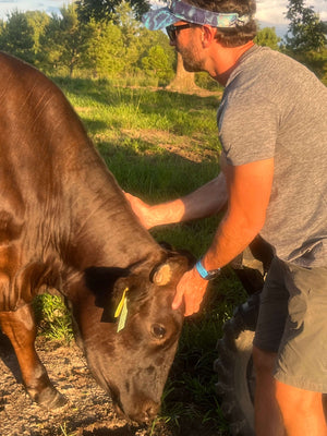 On the Farm - About Us Wagyu-5.jpeg__PID:c0aeb6a8-7a2e-42d0-bf1b-354fc37d93ed