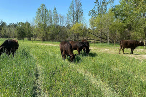 Our Ranch.jpg__PID:9bac3433-d1d5-4694-892d-eae6c9aefaeb
